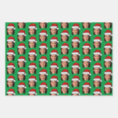 Kamala Harris Face Inpakpapier Vel (Voorkant 3)