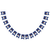 Kamala Harris Inauguration Vlaggetjes (Alle)