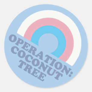 Kamala Harris Kokospalm Pride-vlag voor Transgende Ronde Sticker
