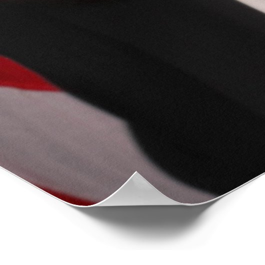 Kamala Harris US Vice President, Biden 2024 Poster (Hoek)