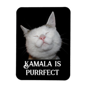 Kamala is Purfect Magneet