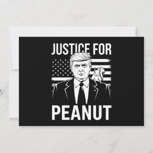 Kamala Trump 2024 Verkiezingen Ik heb niet op hem Kaart