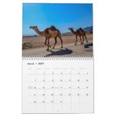 Kameel 2025 kalender (Mar 2027)