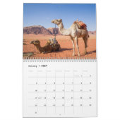 Kameel 2025 kalender (Jan 2027)