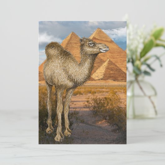 Kameel bij de Pyramides Uitnodiging (Staand voorkant)
