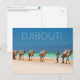 Kameel bij het Assalmeer, Djibouti Reisansichtkaar Briefkaart