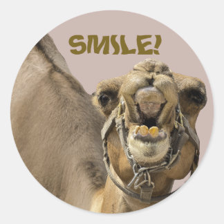 KAMEEL GEZICHT MET TANDEN & GROETE GLIMLACH KIJKT RONDE STICKER
