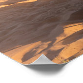 Kameel in de Omaanse woestijn Poster (Hoek)