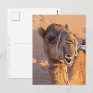 Kameel met een grappige gezichtsuitdrukking - Oman Briefkaart