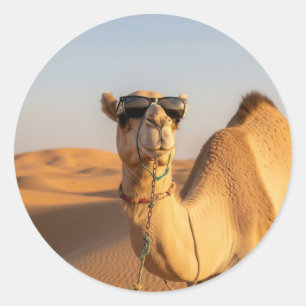Kameel met zonnebril Saudi Arabia Travel Ronde Sticker