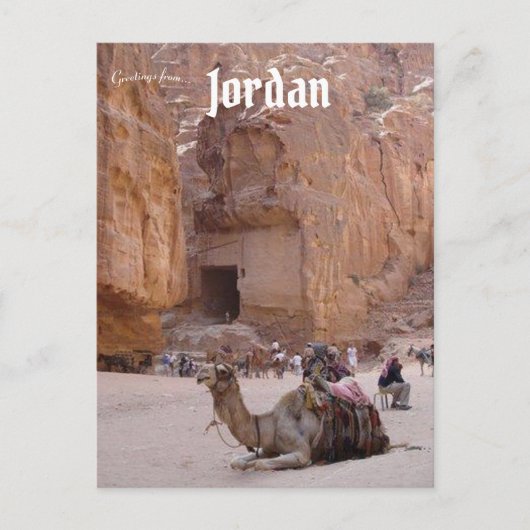 Kameel rust in Petra Jordan Briefkaart (Voorkant)