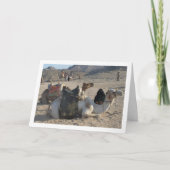 Kameel Rustend in Woestijn Kaart (Voorkant)