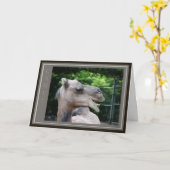 Kameel Wilde Dromedaris Kaart (Gele Bloem)