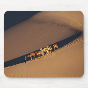Kameelkaravaan in de woestijn, Dunhuang, Gansu Muismat