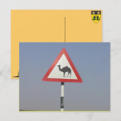 kameelkruising briefkaart (Voorkant / Achterkant)