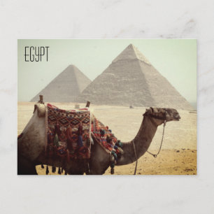 kameelpiramide - egypte briefkaart