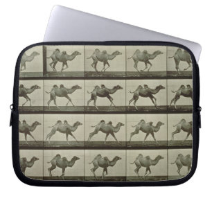 Kamel, bord van "Animal Locomotion", 1887 (b/w p Laptop Sleeve