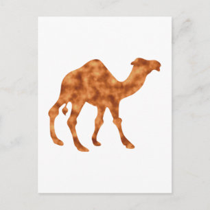 Kamel camel briefkaart