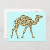 Kamel camel briefkaart (Voorkant / Achterkant)