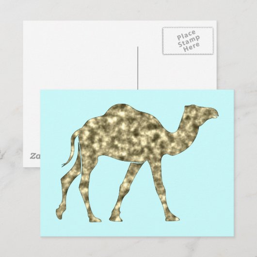 Kamel camel briefkaart (Voorkant / Achterkant)