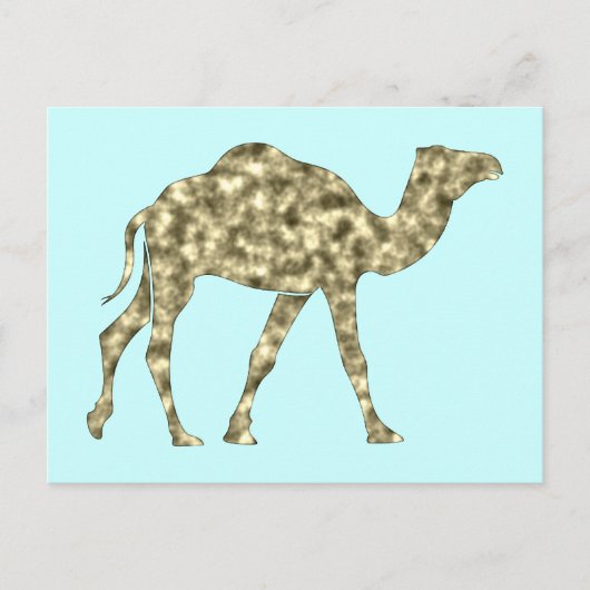 Kamel camel briefkaart (Voorkant)