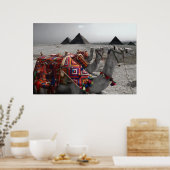 Kamelen aan de Pyramiden Poster (Keuken)