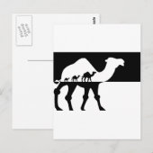 kamelen briefkaart (Voorkant / Achterkant)