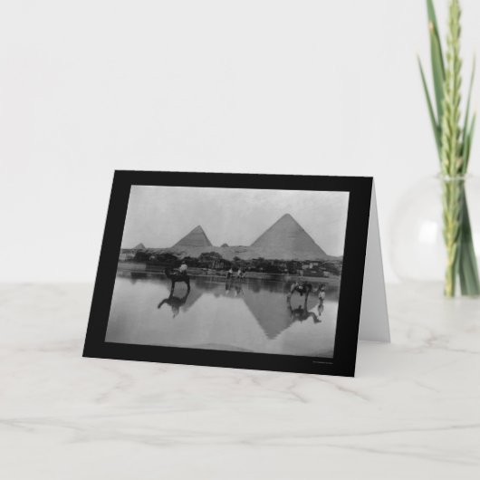 Kamelen en Pyramiden in Egypte 1899 Kaart (Voorkant)