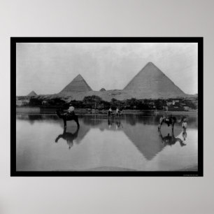 Kamelen en Pyramiden in Egypte 1899 Poster