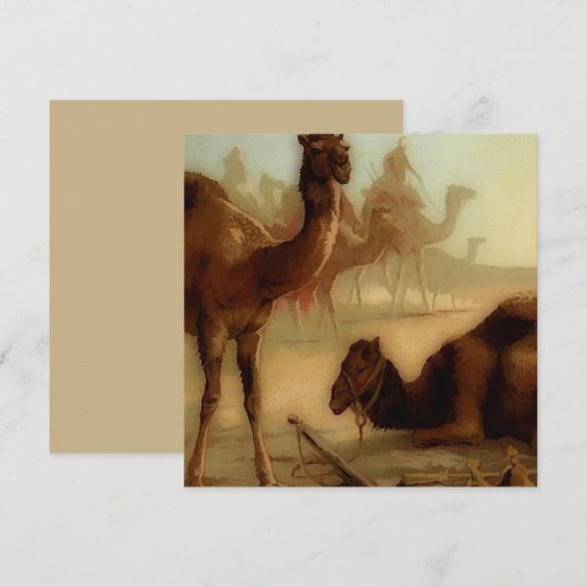 kamelen in de woestijn (Voorkant / Achterkant)