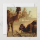 kamelen in de woestijn (Voorkant)