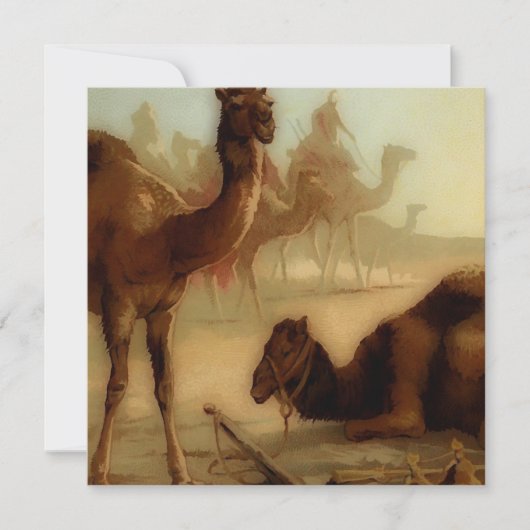 kamelen in de woestijn (Voorkant)