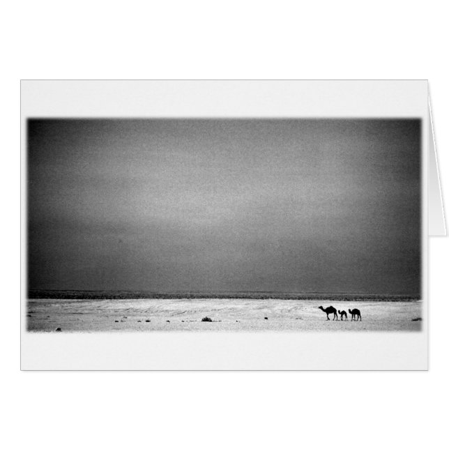 Kamelen in de woestijn - Jordanië 1990 (Voorkant Horizontaal)