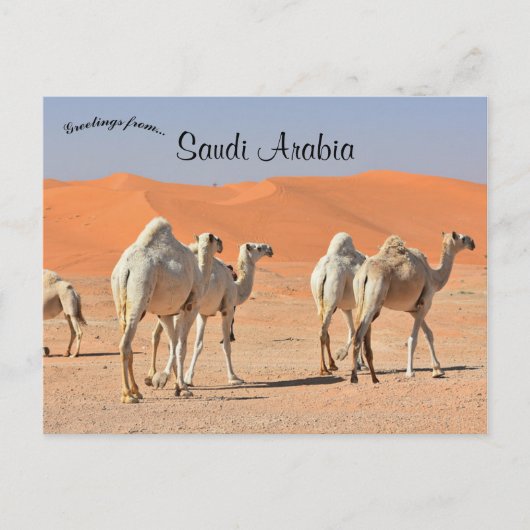 Kamelen in de woestijn van Saoedi-Arabië Briefkaart (Voorkant)