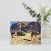 Kamelen in de woestijn van Wadi Rum, woestijn van Briefkaart (Staand voorkant)