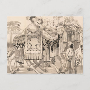 Kamelen lopen gekleed in kostuum briefkaart