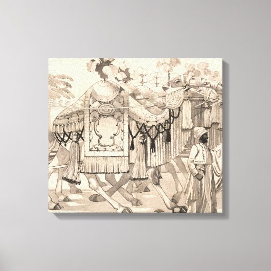 Kamelen lopen gekleed in kostuum canvas afdruk (Voorkant)