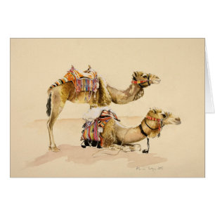 Kamelen uit Petra 2007