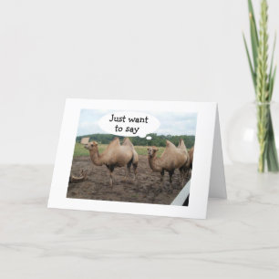 KAMELEN ZEGGEN NEE HUMP DAY - HET IS JE VERJAARDAG KAART