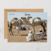 Kamelenmarkt in Soedan Briefkaart (Voorkant / Achterkant)