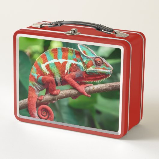 Kameleon (Voorkant)