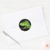 Kameleon (Chamaeleo zeylanicus) Ronde Sticker (Envelop)