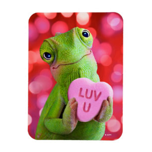Kameleon Hart (Luv U) Magneet