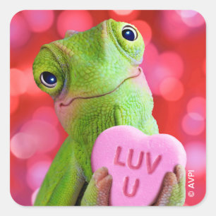 Kameleon Hart (Luv U) Vierkante Sticker