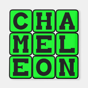 Kameleon, Kleurveranderende Hagedis Magneet
