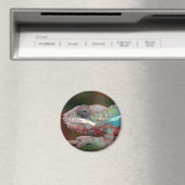 kameleon magneet (Insitu (Vaatwasser))