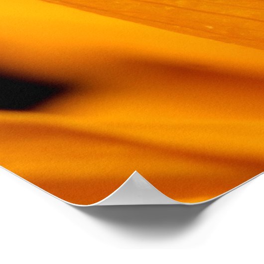 kameleon poster (Hoek)