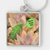 Kameleon: "Verlies ons niet" Sleutelhanger (Voorkant)