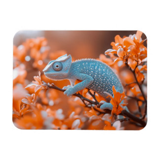 Kameleon Wilde Dier Portret Natuurlijke Omgeving Magneet
