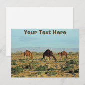 kamerkaart (Voorkant / Achterkant)